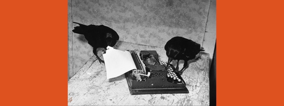 On Writing Better: Sharpening Your Tools
